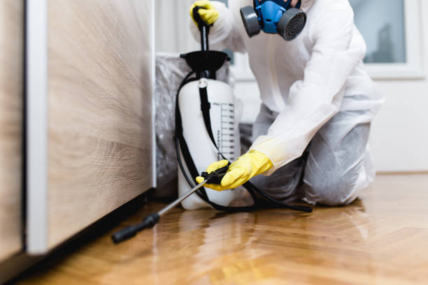 Best Flea Control Services  in Monmouth, IL