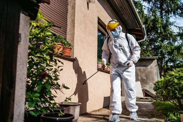 Bird Control in Monmouth, IL