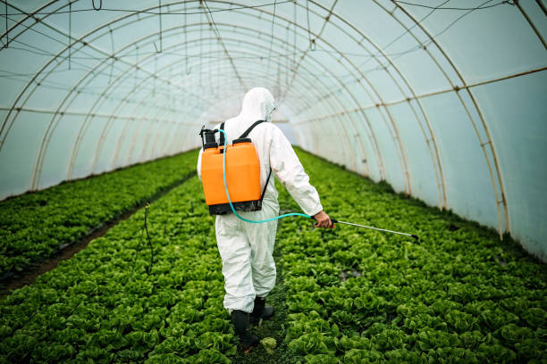 Best Local Pest Control Services  in Monmouth, IL