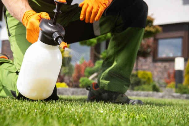 Best Flea Control Services  in Monmouth, IL