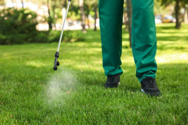 Best Rodent Control Near Me  in Monmouth, IL