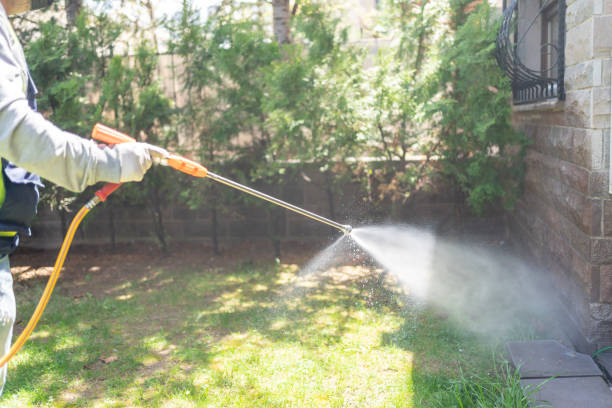 Reliable Monmouth, IL Pest Control Solutions