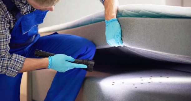 Best Termite Control Services  in Monmouth, IL