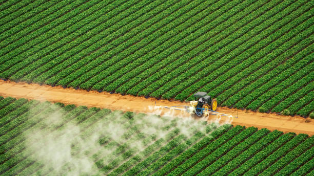 Best Ant Control Services  in Monmouth, IL