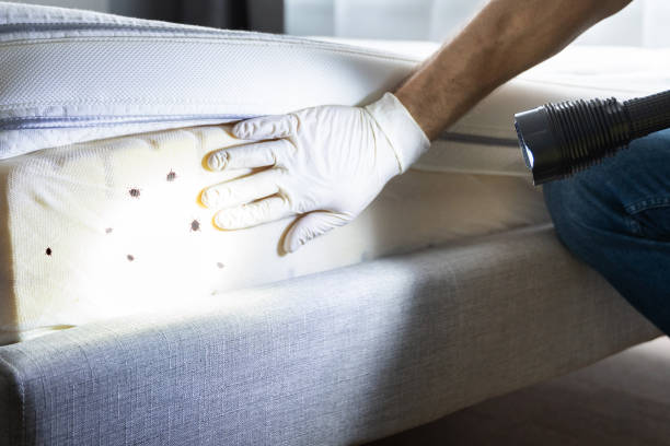 Best Residential Pest Control  in Monmouth, IL