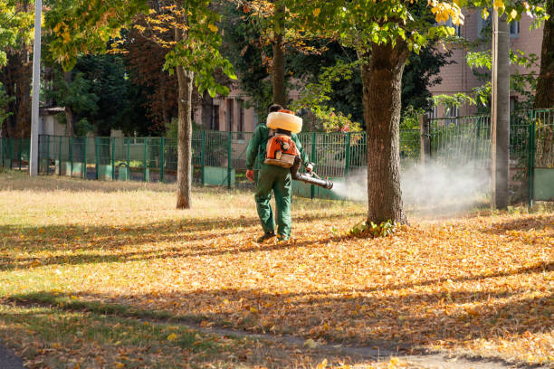 Best Pest Control Near Me  in Monmouth, IL