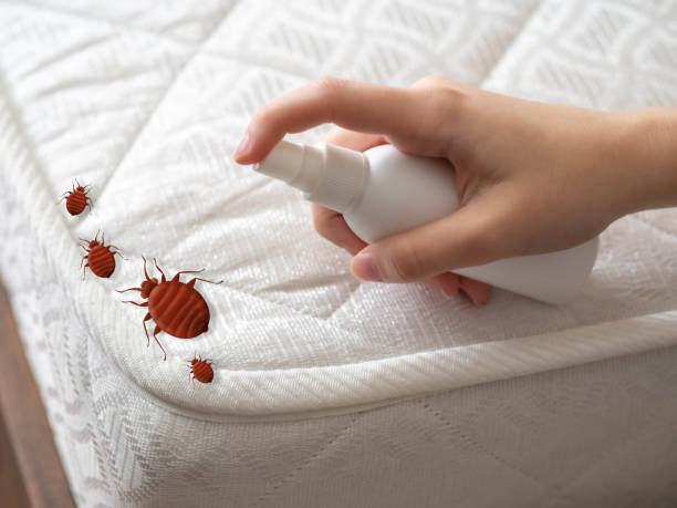 Best Bed Bug Extermination  in Monmouth, IL