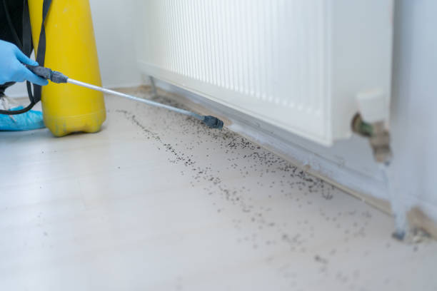 Best Best Pest Control Companies  in Monmouth, IL