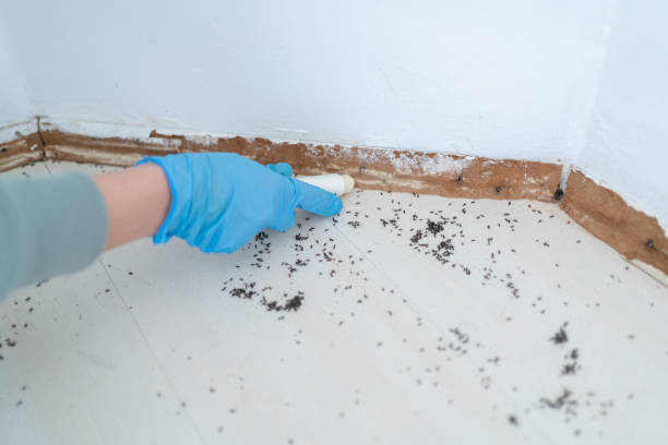 Wildlife Control Services in Monmouth, IL